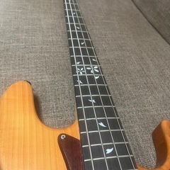 Bacchus WOODLINE417/SAKURASP18