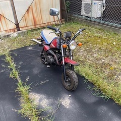 引き取り限定】ヤマハ ポッケ