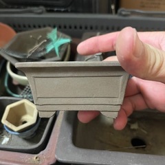 ヘルノキッズコート-盆栽鉢