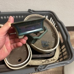 ヘルノキッズコート-盆栽鉢