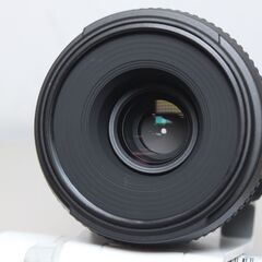 Nikon/AF-S DX Micro NIKKOR 40mm f2.8G/マイクロレンズ ⑤