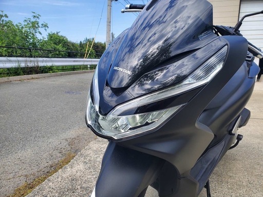 限定2000台PCX125 2021 JF81 19000km‼️すぐ乗れます‼️ 新型ホンダ