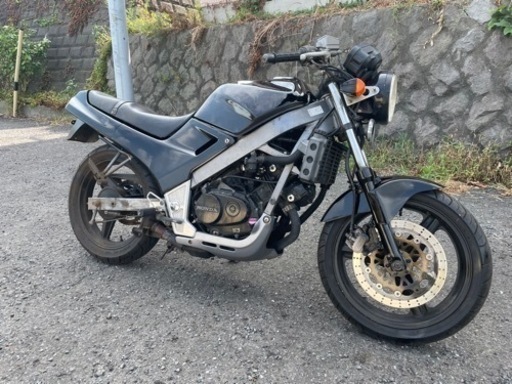 ホンダ HONDA  VTZ250