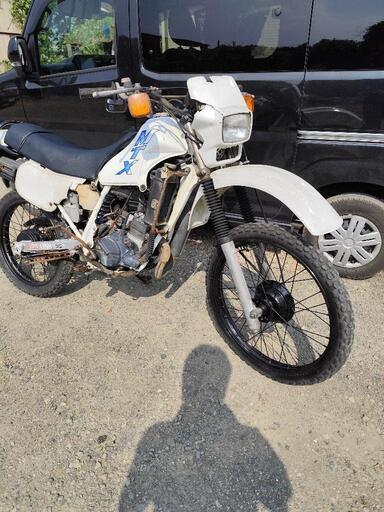 MTX50 岩手県