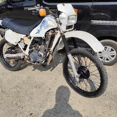 MTX50 岩手県