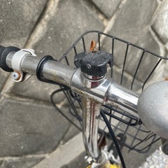 初期型　ピクニカベース車両