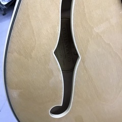 Epiphone SheratonⅡ