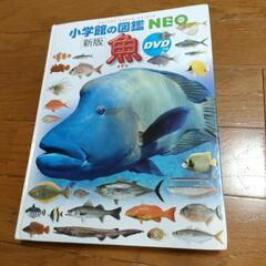 図鑑　魚