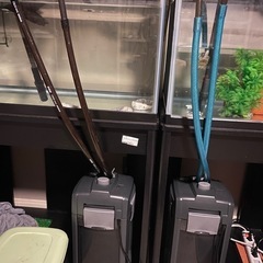 2台セット　フィルター　エーハイム2275 プロフェッショナル4  