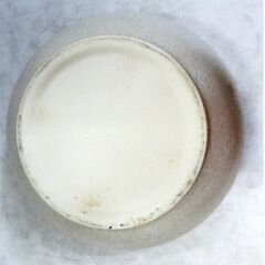 陶器 睡蓮鉢　水鉢　メダカ鉢　金魚鉢 ハス鉢 茶碗蓮鉢 ビオトープ スイレン鉢おしゃれ　庭　モダン　水あふれ防止小穴有　信楽焼かも