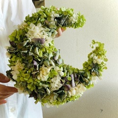 アナベル紫陽花　三日月リース アナベル紫陽花 三日月リース