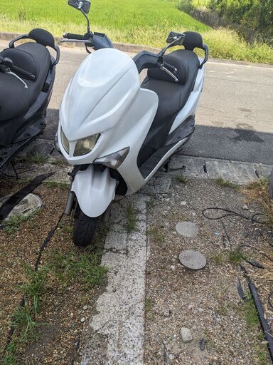 自賠責加入で乗って帰れます！　好調　マジェスティ125FI