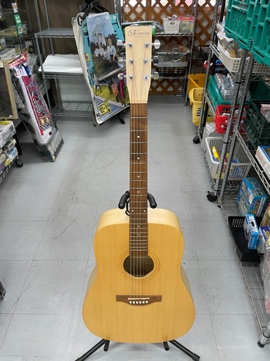 Norman Expedition Nat Solid Spruce SG EQ エレアコ