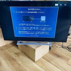 東芝REGZA 43インチ　4K液晶レグザ　43M520X　2019年製造