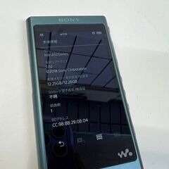 SONY ウォークマン Aシリーズ/NW-A55/16GB