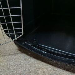 バリケンネル ウルトラXL   (サ－クルのおまけ付)