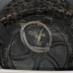 ☆激安!!☆ 5.0kg アイリスオーヤマ 2020年 IAW-T502EN 家電 生活家電 洗濯機