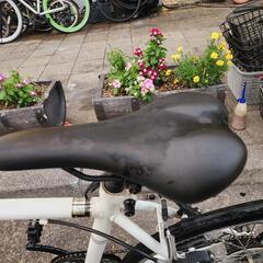 クロスバイク　７００ｘ２８ｃ　６変速　白　配配達可能