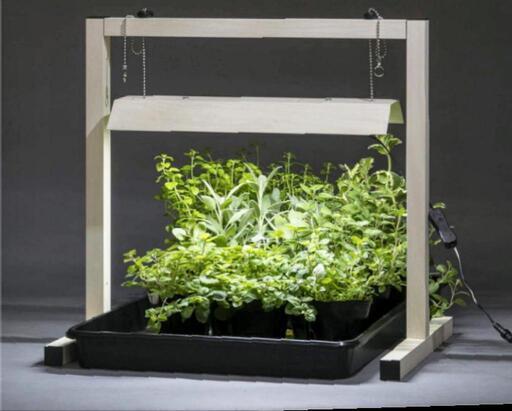 ☆未開封品☆‎植物育成ライト☆LGT-01W☆