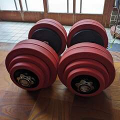 ダンベル 30kgX2 合計60kg、