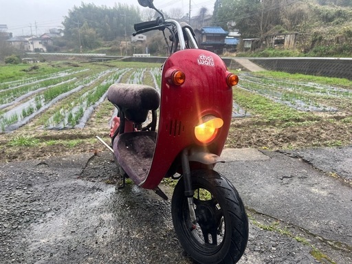 SUZUKI チョイノリ 50