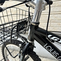 ルイガノの子供用自転車 J20 LG BLACK  