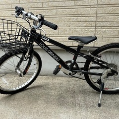 ルイガノの子供用自転車 J20 LG BLACK  