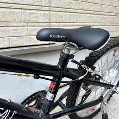 ルイガノの子供用自転車 J20 LG BLACK  