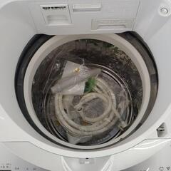 SHARP洗濯機 8.0kg 17年製         TJ6605