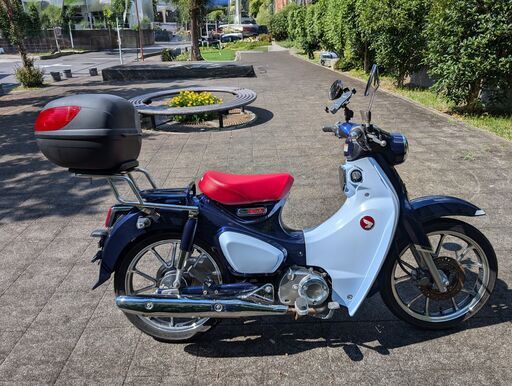 HONDA 2019 スーパーカブC125 2千キロ アオ ホンダ（HONDA） スーパー