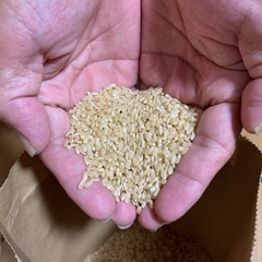 兵庫県産ヒノヒカリ  どんぐり米   