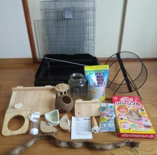 ほぼ未使用 デグー 飼育セット