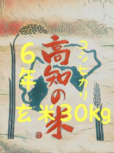 ネット決済① 令和6年産 高知県産 コシヒカリ 玄米30㎏(袋込み)