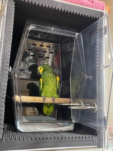 大型インコ・オウム　アクリルケース・キャリー・防音ケース