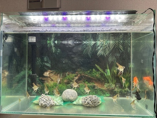 水槽のセット