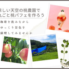 長野県佐久市軽井沢のお隣、天空の桃農園で癒されながら世界に一つだ...