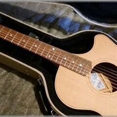 アコースティックギター　Cole Clark　CCAN2EC-CB