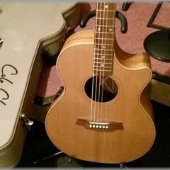 アコースティックギター　Cole Clark　CCAN2EC-CB
