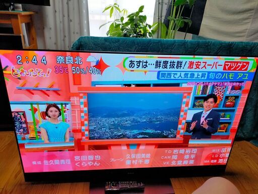 【動画あり 絶対安いです！】8/13まで159800円→30000円 本当に綺麗です！！パナソニック ビエラ 55インチ 有機EL 4K TV Panasonic TH55GZ2000 2019年製 HDR/倍速/Net動画 ■VIERA 美品 ユーチューブ アマプラ ネットフリックス 観れます！