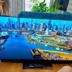 【動画あり 絶対安いです！】8/13まで159800円→30000円 本当に綺麗です！！パナソニック ビエラ 55インチ 有機EL 4K TV Panasonic TH55GZ2000 2019年製 HDR/倍速/Net動画 ■VIERA 美品 ユーチューブ アマプラ ネットフリックス 観れます！