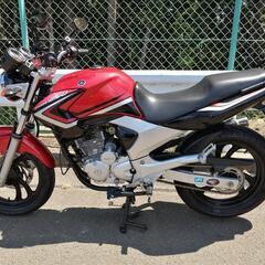 YBR250 仙台市 バッテリー、オイル交換済