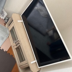 白縁　テレビ