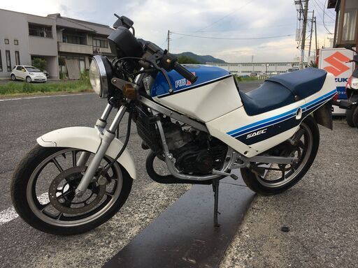 みい Mame Kurogouchi(マメクロゴウチ) 2025AW ランダムリブ