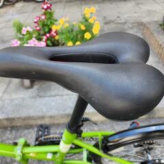 折りたたみ自転車　ＶＯＬＫＳＷＡＧＥＮ　２０インチ　６変速　カゴ　付き　緑　配達可能