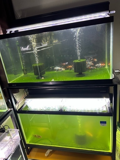 【最終値下げ】90cm水槽 2段 水槽、水槽台、上部フィルター×2、GEX900LEDライト×2、スポンジフィルター、エアーポンプフルセット 朱文金、和金