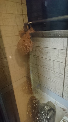 蜂の巣除去\n