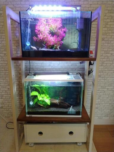 熱帯魚　水槽　ヒーター　フィルター　　水槽台　一式