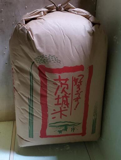 令和5年産コシヒカリ玄米30kg