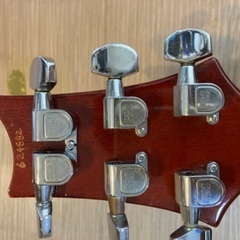 ・PAUL REED SMITH / Custom 22 Bird Normal Top (1996) 　ポールリードスミス