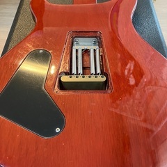 ・PAUL REED SMITH / Custom 22 Bird Normal Top (1996) 　ポールリードスミス